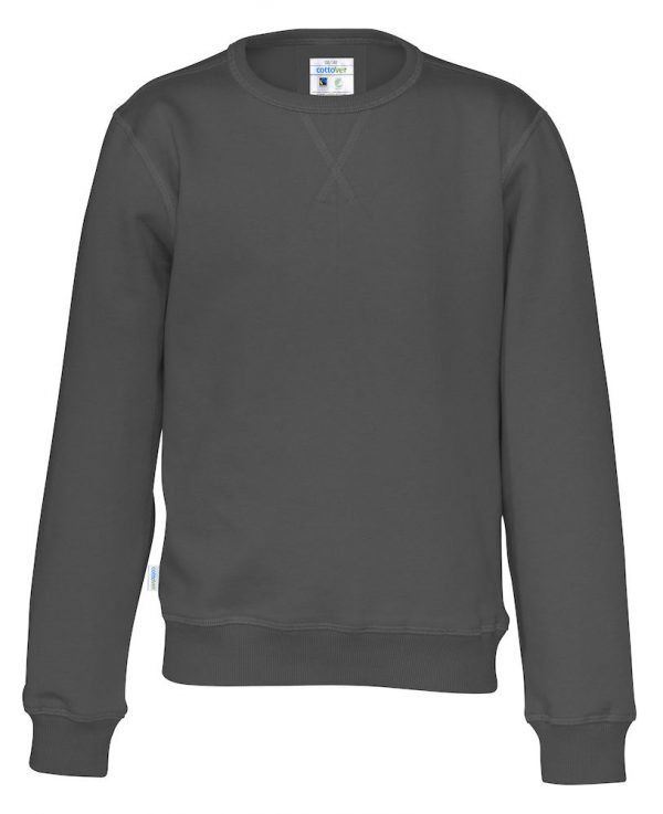 Sweater met ronde hals - grijs - kinderen